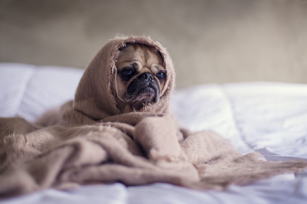 Schlafen als Tipp gegen Stress